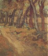 Vincent Van Gogh The Garden of Saint-Paul Hospital with Figure (nn04) oil painting on canvas